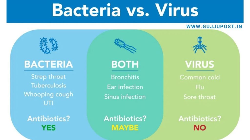 bacterial infection vs viral infection