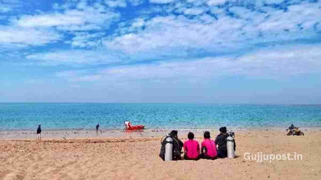 activity at shivrajpur beach